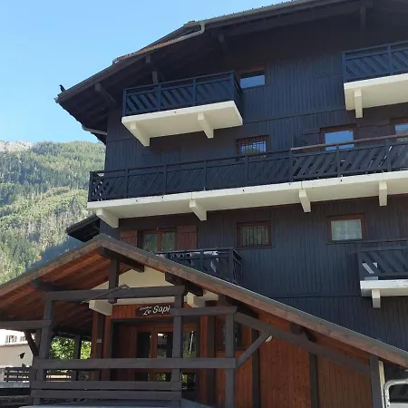 Deux Pieces Calme Proche Centre Chamonix, Garage, Casier A Ski, 4 Pers. - Fr-1-517-61 公寓